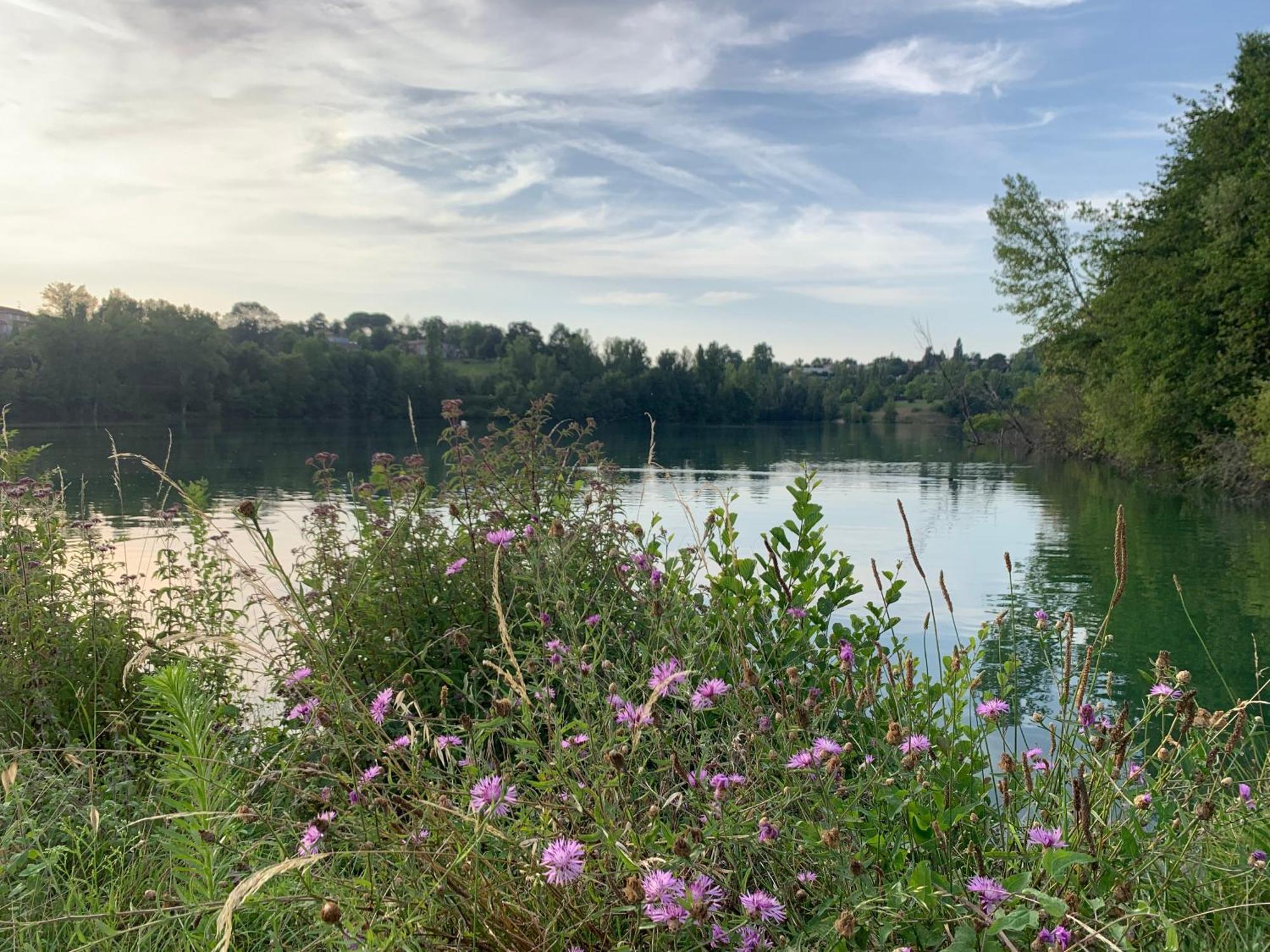 Terres De France - Les Hameaux Des Lacs Monclar-de-Quercy Екстер'єр фото